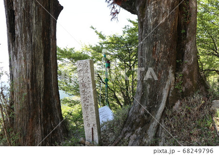 大山からの風景 大山からの風景 68249796