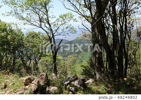 大山からの風景 大山からの風景 68249802