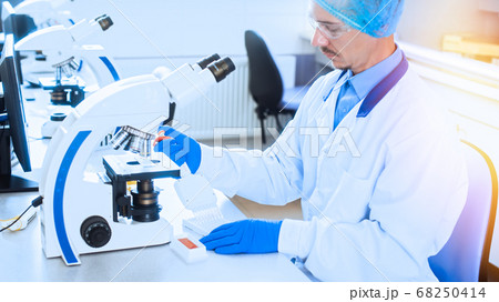 Cytological and morphological examination in the 68250414