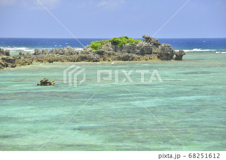 【鹿児島県　奄美大島】用海岸の珊瑚礁 68251612