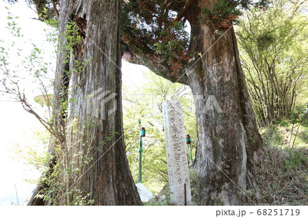 大山阿夫利神社 本社参道 大山阿夫利神社 本社参道 68251719