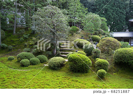 東福寺常楽庵の風景 東福寺常楽庵の風景 68251887