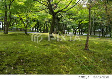 東福寺の風景 68252056