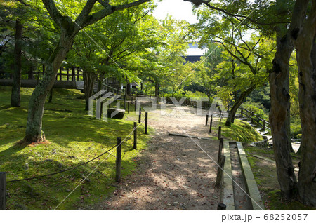 東福寺の風景 68252057