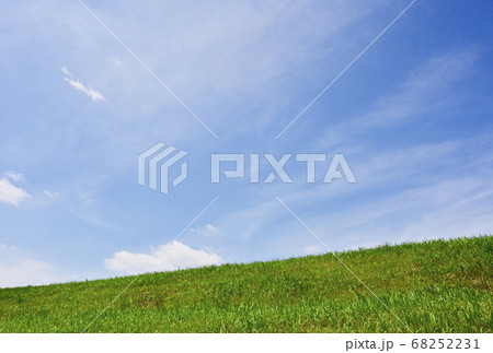 青空と緑　背景素材　イメージ素材　広いコピースペース 68252231