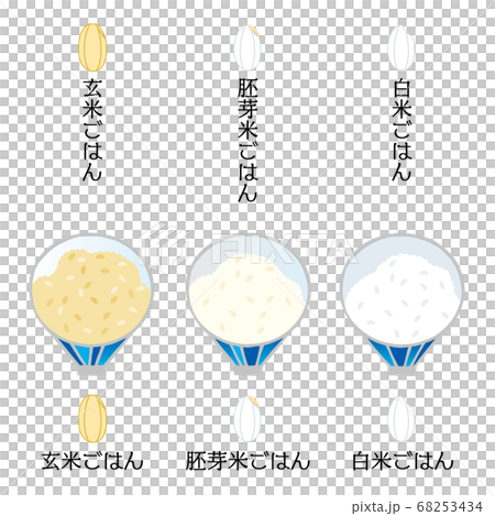 お茶碗のごはんセット_玄米と胚芽米と白米_手描きタッチ 68253434