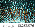 光 ライト 明かり 68253576
