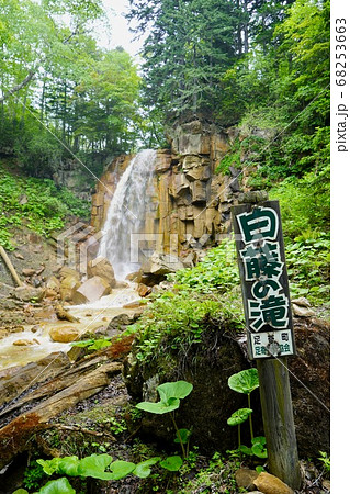 白藤の滝・足寄町 白藤の滝・足寄町 68253663