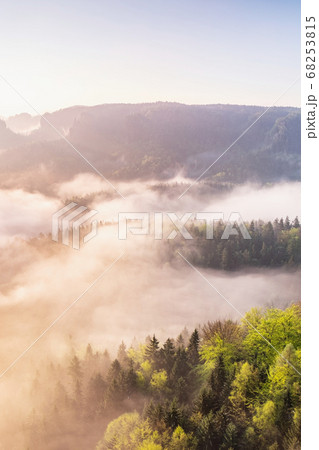 Beautiful gentle mist rises cotton tufts on the 68253815