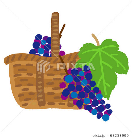 取手のついたカゴに入った赤葡萄と葡萄の葉っぱのイラスト素材