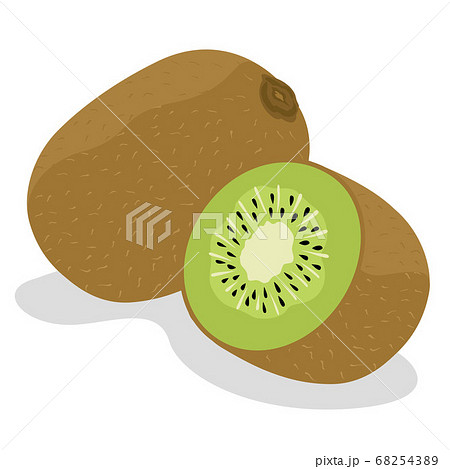 キウイフルーツのイラストのイラスト素材 6543