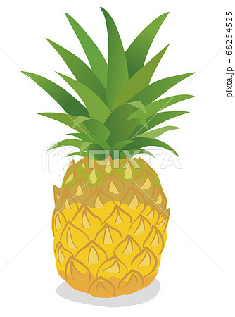 パイナップルのイラストのイラスト素材