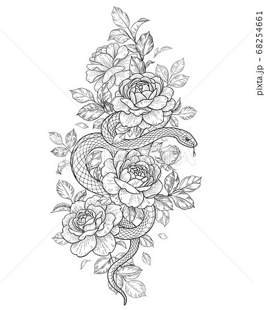 Vector Twisted Snake and Rose Flowersのイラスト素材 [68254661] - PIXTA