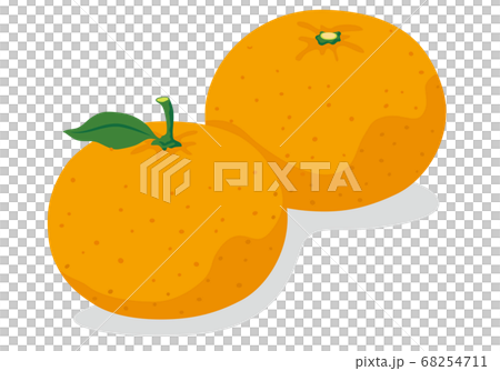 みかんのイラスト 68254711