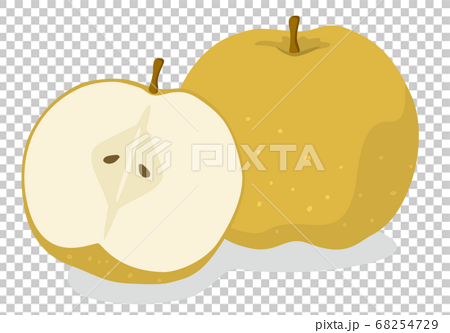 梨のイラストのイラスト素材
