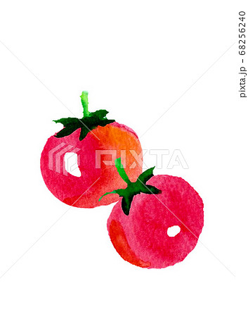 プチトマト　水彩　手描き 68256240