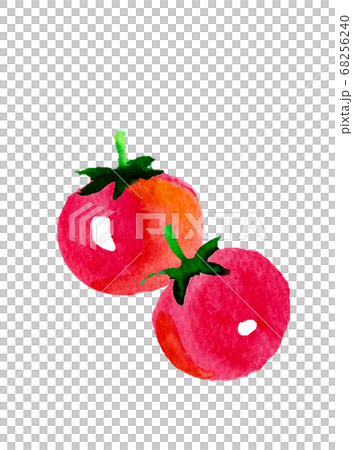 小番茄水彩手繪 小番茄水彩手繪 68256240