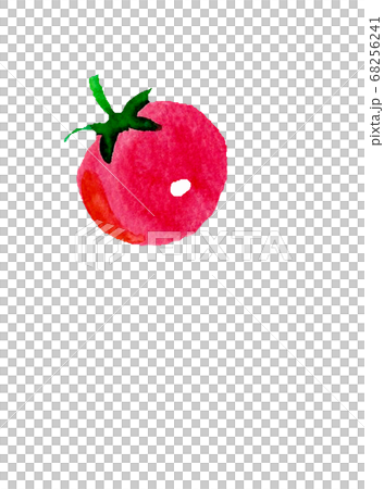 小番茄水彩手繪 68256241