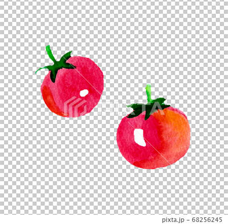 小番茄水彩手繪 小番茄水彩手繪 68256245