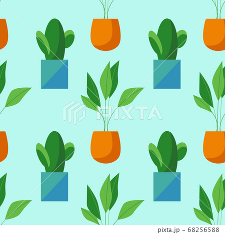 Seamless pattern of cactus and ficus in pots isolated on blue background. Simple cartoon vector style. Flat design. House plant illustration Seamless pattern of cactus and ficus in pots isolated on blue background. Simple cartoon vector style. Flat design. House plant illustration 68256588
