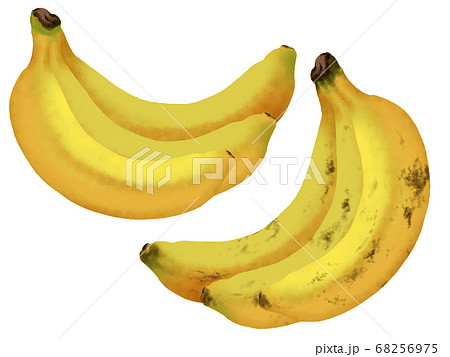 バナナ 果実 イラストのイラスト素材
