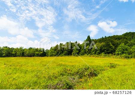 夏の玉原湿原 夏の玉原湿原 68257126
