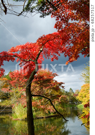 黒い雲と雲場池の紅葉-2018年 黒い雲と雲場池の紅葉-2018年 68257517