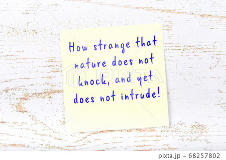Yellow sticky note on wooden wall with wise quote 68257802