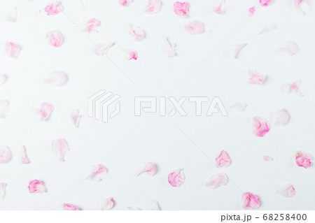 Feminine flat lay frame pink peony petals 68258400