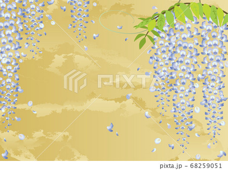 装飾背景-藤と金箔 68259051