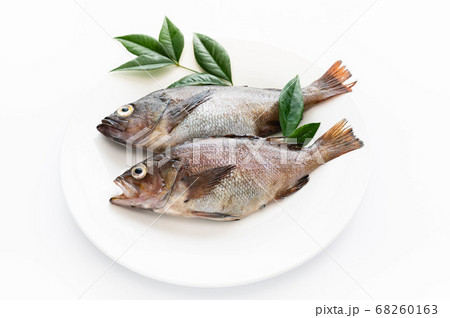 エゾメバル　ガヤ 68260163