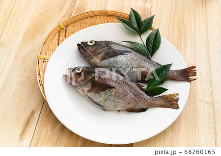 エゾメバル　ガヤ 68260165