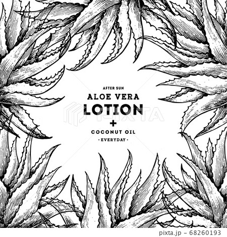 Aloe vera frame. Botanical design template. 68260193