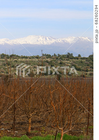 snow lies on Mount Hermon, a mountain range located on the border of Syria, Lebanon and Israel	 68260294