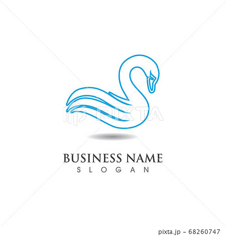 Swan logo and symbol vector template Swan logo and symbol vector template 68260747