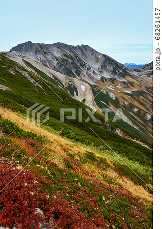 真っ赤に紅葉したチングルマの草紅葉、北アルプスの立山連峰の立山三山の岩肌、秋晴れの青空。旅行、旅先。 真っ赤に紅葉したチングルマの草紅葉、北アルプスの立山連峰の立山三山の岩肌、秋晴れの青空。旅行、旅先。 68261457