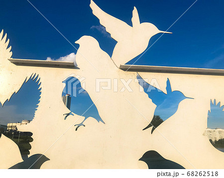 Abstract silhouettes of bird pigeons carved from 68262518