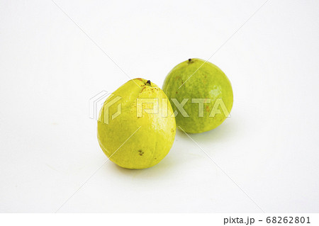 グアバの実 68262801