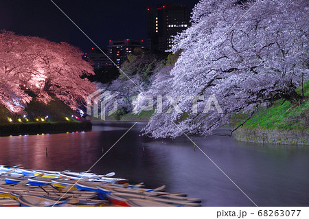 千鳥ヶ淵の夜桜 千鳥ヶ淵の夜桜 68263077