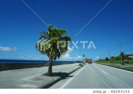 沖縄 ドライブ 車窓 恩納村 ヤシの木 南国 バカンス リゾート 68263143