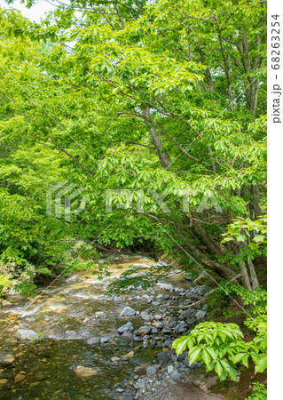 照葉峡　奥利根　　群馬県みなかみ町　　 68263254