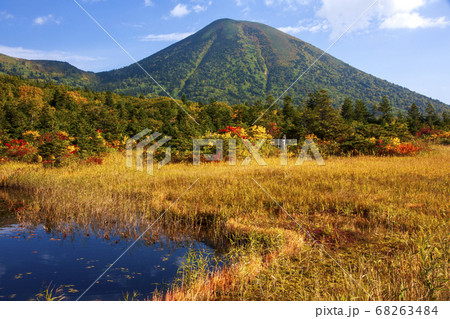 秋の八甲田山　睡蓮沼の景色 68263484