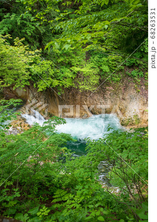 照葉峡　奥利根　　群馬県みなかみ町　　 68263531