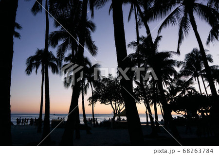 ハワイ ワイキキビーチのヤシの木のシルエットの写真素材