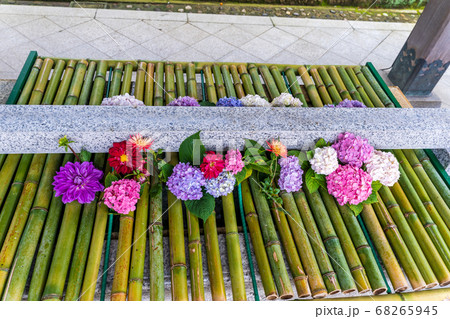 竹駒神社の手水舎 あじさいの花手水 宮城県岩沼市 竹駒神社の手水舎 あじさいの花手水 宮城県岩沼市 68265945