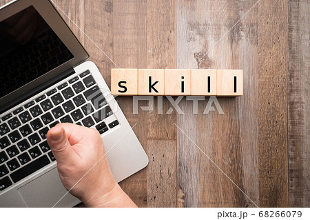 イメージ　　skill 68266079
