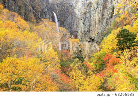 紅葉の米子大瀑布・権現滝 68266938