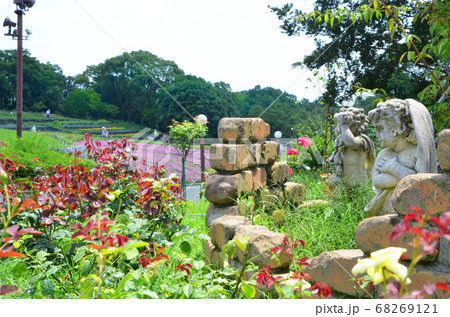夏の鶴見緑地公園（大阪） 68269121