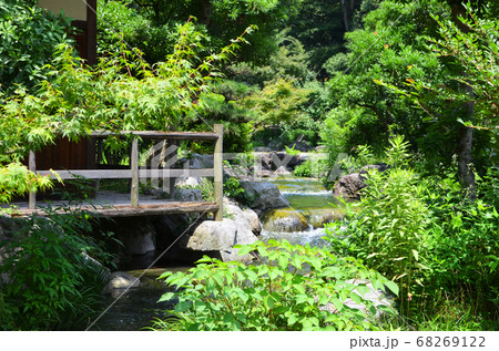 緑に包まれた日本庭園の風景の写真素材