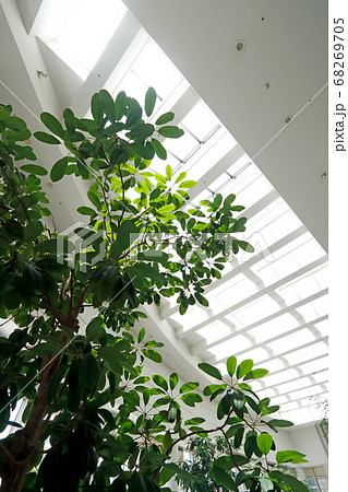 高層ビル 68269705